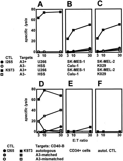 Fig. 3. Cytotoxicity of K973 hTERT-specific, HLA-A3-restricted CTLs. K973-specific CTLs lysed myeloma (A), carcinoma (B), and melanoma (C) cell lines that expressed both HLA-A3 antigen and telomerase activity. Influenza NP I265-specific CTLs did not lyse any target. D, K973-specific CTLs lysed autologous CD40-B cells and HLA-A3-matched CD40-B cells but not HLA-A3-negative CD40-B cells. Neither K973-specific nor I265-specific CTLs lysed HLA-A3+ CD34+ peripheral blood cells (E) or autologous CTLs (F), despite the observation that these normal target cells are telomerase positive (Fig. 2)<$REFLINK>. Mean results of one experiment of one (D and F) or two (A, B, C, and E) performed using a patient CTL line are shown. Tumor specific cytotoxicity was similarly observed for CTLs from a second cancer patient and one normal donor. No cytotoxicity against HLA-A3+ CD34+ cells was seen in an additional experiment with K973-specific CTLs from a normal donor.