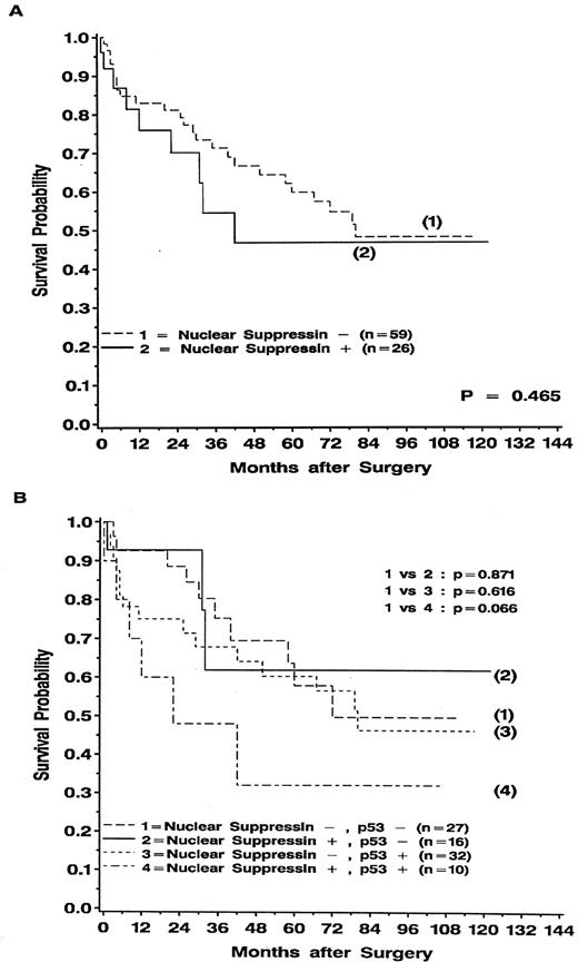 Fig. 4. Overall survival of patients who have undergone surgery for CRC (nonmucinous) according to status of SPNNAC (A) and different combinations of SPNNAC and p53NAC (B). Values in the parentheses indicate the number of patients at risk of death because of CRC after resection. Ps were calculated by the log-rank test.