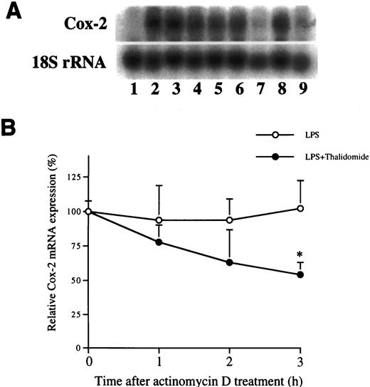 Fig. 6. Thalidomide enhances the degradation of Cox-2 mRNA. A, cells were treated with vehicle (Lane 1), LPS (2 ng/ml; Lanes 2, 4, 6, and 8), or LPS plus thalidomide (50 μm; Lanes 3, 5, 7, and 9) for 3 h. Fresh medium containing actinomycin D (5 μg/ml; Lanes 4, 6, and 8) or actinomycin D and thalidomide (50 μm; Lanes 5, 7, and 9) was then added. Total cellular RNA was isolated immediately before treatment with actinomycin D (Lanes 1–3) and 1 h (Lanes 4 and 5), 2 h (Lanes 6 and 7), and 3 h (Lanes 8 and 9) after the addition of actinomycin D. The decay of Cox-2 mRNA was analyzed with Northern blotting. The blot shown is representative of four independent experiments. B, the results of four independent experiments were quantified. Band density was quantified with a scanning densitometer. Amounts of Cox-2 mRNA are expressed as a relative percentage prior to the addition of actinomycin D. Bars, SD; n = 4. *, P = 0.01 versus treatment without thalidomide.