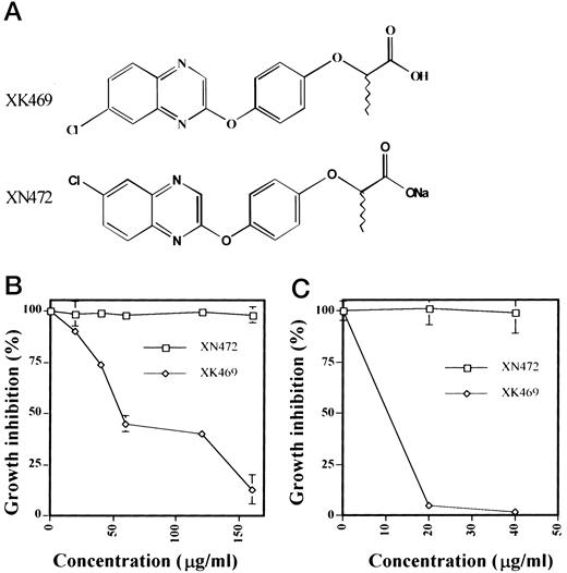Fig. 1. The differences of chemical structures and growth inhibition activity between XK469 and XN472. A, chemical structures of XK469 and its analogue XN472. XK469, sodium 2-[4-(7-chloro-2-quinoxalinyloxy)phenoxy]propionate; XN472; Assure, (not shown) ethyl 2-[4-(6-chloro-2-quinoxalinyloxy)phenoxy]propionate. B and C, the effects of XK469 on growth inhibition. The human lung cancer H460 was treated with various concentrations of XK469 (⋄) or XN472 (□) for one day (B) or for 4 days (C), followed by assessment for cell survival as described in “Materials and Methods.” Bars, SD.