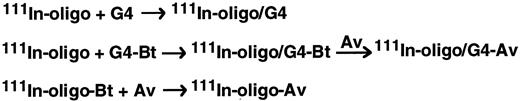 Fig. 1. Schemes for preparing the three oligo-carrier complexes used in this study.