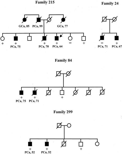Fig. 1. Pedigrees of PCA families carrying the CDH1 missense variant. Squares represent males; circles represent females. Open symbols indicate no neoplasm, and filled symbols represent PCA (PCa) and gastric cancer (GCa) cases. Numbers indicate the age at diagnosis of cancer in affected individuals. + and − indicate the presence or absence of the CDH1 S270A missense variant in the DNA sample of family members. An arrow indicates the individual initially screened for CDH1 mutations.