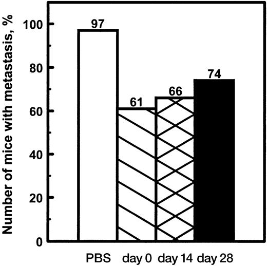 Fig. 5. Prevention of PC-3M prostate tumor metastasis by treatment with antisense JF2S after establishment of primary tumors. Tumor cells were injected and iliac lymph nodes harvested and examined as for Fig. 3<$REFLINK>. For the four separate experiments summarized, treatment with JF2S was begun on day 0 (; n = 46), on day 14 (; n = 38), or on day 28 (▪; n = 43). JF2S was administered as in Fig. 3<$REFLINK> with the exception that in the latter two groups treatment initiation was delayed until 2 and 4 weeks, respectively, after initial tumor cell injection into the prostate. In each experiment additional mice were treated with PBS beginning on day 0 (□; n = 38).