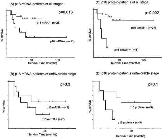 Fig. 4. Prognostic significance of p16 mRNA (A and B) and protein (C and D) expression in survival of neuroblastoma patients. Survival curve analysis for neuroblastoma patients of all stages (A and C) and unfavorable stage (B and D) from the time of diagnosis in relation to p16 expression status is shown. Statistical analysis was performed by using the generalized Wilcoxon test of equality. Patients were subdivided into groups based on p16 expression status.