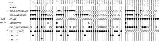 Fig. 4. Physical mapping in 58 breast cancers that showed gains of DNA at some loci on chromosome 8q23–24. Locations and order of the microsatellite markers were derived from published linkage information. At the top of each column, tumor-identification numbers. ○, retention of heterozygosity; •, increase; gaps reflect uninformative for specific markers.