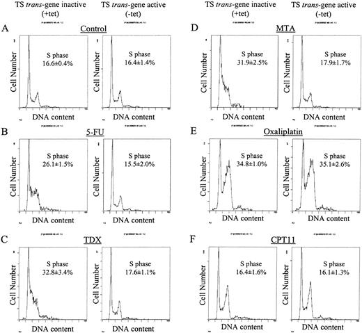 Fig. 3. Fluorescence-activated cell sorting (FACS) analysis of propidium iodide-stained TS-uninduced (+tet) and -induced (−tet) MTS-5 cells harvested after 48 h exposure to: A, no drug; B, 2.6 μm 5-FU; C, 2 nm TDX; D, 32 nm MTA; E, 2.2 μm oxaliplatin; and F, 140 nm CPT-11. The drug concentrations used correspond to IC50 doses in uninduced cells. The analysis was carried out on an EPICS XL flow cytometer (Coulter). Mean S-phase percentages were calculated from triplicate samples.