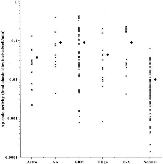 Fig. 2. Ap endo activity in adult gliomas and adjacent normal brain. Activity was determined in 84 gliomas, and, in 58 cases, in adjacent, histologically normal brain (at right). Activity, indicated on a logarithmic scale, is the mean of at least three determinations as described in “Materials and Methods” and in Fig. 1<$REFLINK>. Tumor activities are shown by diagnosis: Astrocytoma (Astro), anaplastic astrocytoma (AA); glioblastoma multiforme (GBM); oligodendroglioma (oligo); mixed oligo-astrocytoma (O-A). Large crosses indicate mean activities.