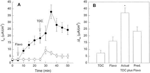 Fig. 5. Effect of flavopiridol on chloride secretion induced by taurodeoxycholate (TDC, 5 ×10−4 m). A, time course of chloride secretory response to taurodeoxycholate in the absence (○)or presence (•) of flavopiridol pretreatment (Flavo,10−4 m). Values are means for five to six experiments; bars, SE. B, increases in chloride secretion (ΔIsc) induced by flavopiridol or taurodeoxycholate alone or the combination of these agents (Actual). Pred., the predictive additive response calculated by addition of the individual responses to flavopiridol and taurodeoxycholate. The response obtained with the combined agents significantly exceeded the predicted response, P < 0.05 by Student’s t test. Values are means for five to six experiments; bars,SE.