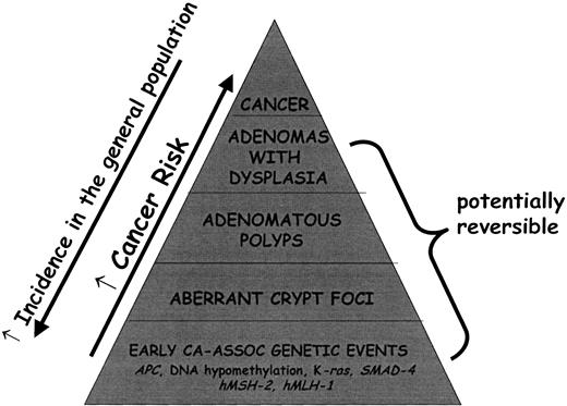 Fig. 2. Association of precancerous genetic and histological lesions with colorectal adenocarcinoma.