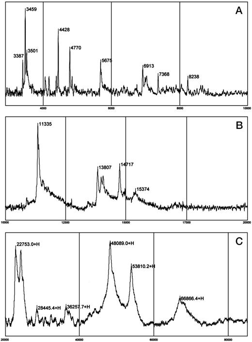 Fig. 1. Representative SELDI spectra of one LCM sample from PCA epithelial cells in m/z ratios of 3000–10000, 10000–20000, and 20000–80000.