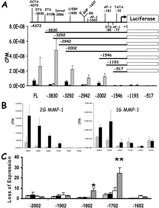 Fig. 1. The identification of Sod2-responsive region of the hMMP-1 promoter and signaling molecules. A, top, a schematic representation of promoter constructs tested and the location of known transcription factor consensus sequences and polymorphisms. Bottom, control (CMV) or Sod2-overexpressing (HT-15) cells were cotransfected with the various pGL3-MMP-1 2G or 1G constructs and pCMVβ-GAL and assayed for luciferase activity. CMV 1G (gray, not visible), HT15 1G (black), CMV 2G (white), HT15 2G (hatched). B, MMP-1 promoter deletion analysis of regions from −2002 to −1546. Left, cells were transfected with the indicated MMP-2G constructs and treated as described above. Right, similar to left panel, only with MMP-1G constructs. CMV (gray) and HT15 (black). C, identification of the Sod2-responsive region of the MMP-1 promoter. Data from B are expressed in terms of loss of fold expression when the indicated region is deleted and legend is as in A, bottom panel. ∗, P < 0.05; ∗∗, P < 0.01 when compared with CMV-transfected cell lines. All of the data are expressed as cpm and have been normalized for β-galactosidase activity unless otherwise indicated. Values are the mean ± SE of four independent experiments.