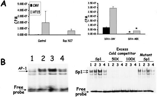 Fig. 2. A, the effect of dominant negative Ras/MEK constructs on the Sod2-dependent increases in MMP-1 promoter activity. Left panel, control (CMV) and MnSOD-overexpressing (HT15) were transfected with pGL3-MMP-1 2G promoter or transfected with pGL3-MMP-1 2G and a dominant negative mutant of Ras, pAdTrack-RasN17. Results are shown as cpm. Right panel, CMV or HT15 cells were transfected with pGL3-MMP-1 2G construct and either control vector (DIVA-CMV) or a dominant negative mutant of MEK-1 (DIVA-MEK1). Results are express as the mean of four independent experiments normalized to β-galactosidase activity and protein content ± SE. ∗, P < 0.001 when compared with cell lines transfected with the DIVA-CMV. B, Sod2 modulates AP-1 and SP-1 DNA-binding activity and MMP expression. Sod2-regulation of Transcription factors extracted from HeLaTat (Lane 1), CMV (Lane 2), HT15 (Lane 3), and HT15mCAT (Lane 4) cell lines. Left panel, electrophoretic mobility shift analysis of the transcription factor AP-1 in the above mentioned cell lines. Right panel, DNA-binding activity of the transcription factor Sp1 was analyzed by incubating with a 32P-labeled Sp1 oligonucleotide in either the presence or the absence of excess cold competitor (50-fold or 100-fold), or excess of cold mutant oligonucleotide. All of the results were visualized by exposure to Kodak BioMax-MS film.