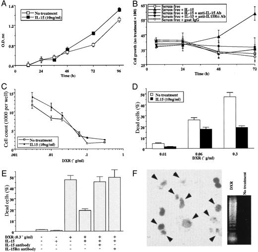 Fig. 4. A, the effect of IL-15 on growth of IEC6 cells. Cells seeded in 96-well plates at a density of 2000 cells/well were treated with medium with or without 10 ng/ml IL-15. Cell growth was assessed by 3-(4,5-dimethylthiazol-2-yl)-2,5-diphenyltetrazolium bromide assay 12–96 h later. Results represent the mean ± SD. B, neutralizing effect of anti-IL-15 or anti-IL-15Rα Abs on IL-15-induced cell growth of serum-starved cells. IEC6 cells cultured in serum-free medium were treated with IL-15 (10 ng/ml) alone or with anti-IL-15 Ab (2 μg/ml) or anti-IL-15Rα Ab (2 μg/ml). Cell growth is represented as a relative value compared with that of IEC6 cells growing in regular medium. C and D, anticytostatic and anticytolytic effects of IL-15. IEC6 cells were treated with different concentrations of DXR (0.003–0.3 μg/ml) for 24 h. The number of viable (C) and dead (D) cells was determined by trypan blue staining. E, neutralizing effect of anti-IL-15 or anti-IL-15Rα Abs on DXR-induced cytolysis. IEC6 cells treated with various combinations of DXR (0.3 μg/ml), IL-15 (10 ng/ml), anti-IL-15 Ab (2 μg/ml), or anti-IL-15Rα Ab (2 μg/ml) for 24 h. The number of dead cells was determined by trypan blue staining. F, Giemsa staining of IEC6 cells treated with DXR (0.3 μg/ml; left panel). Arrowheads point to apoptotic figures. DNA purified from DXR-treated IEC6 cells showed fragmentation (right panel).