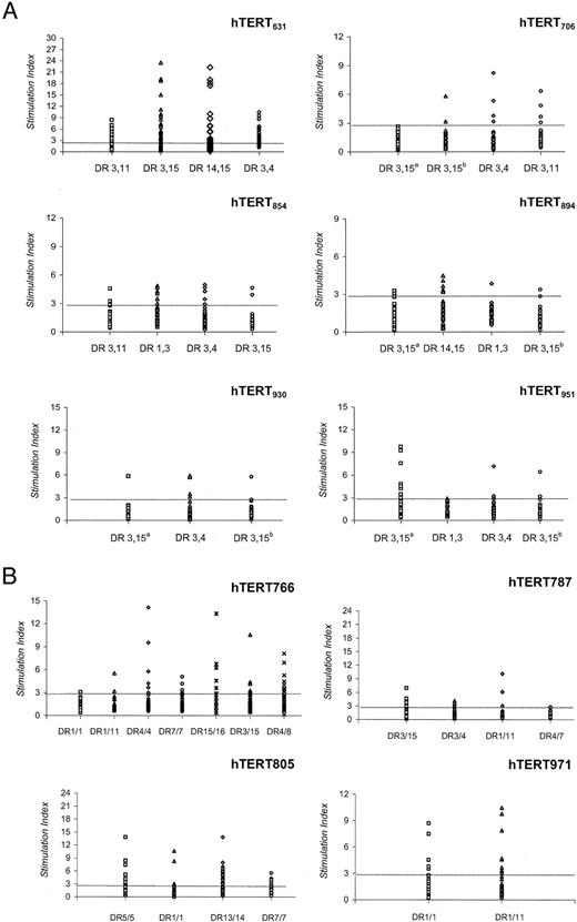 Fig. 1. Proliferative T-cell responses to hTERT-derived peptides. PBMCs from healthy adult donors were cultured with 1 of 10 different hTERT peptides (A, hTERT631, hTERT706, hTERT854, hTERT894, hTERT930, and hTERT951; B, hTERT766, hTERT787, hTERT805, and hTERT971; 20 μg/ml) for 7 days in U-bottomed 96-well plates (2 × 105 cells/well). [3H]Thymidine incorporation of the primed T cells was measured after restimulation with autologous PBMCs (1 × 105) as APCs with or without corresponding peptides. SI (the mean cpm of peptide-pulsed PBMCs/the mean cpm of PBMCs not exposed to peptides) for each tested well are shown. A T-cell line/well was considered specific for a peptide when the cpm exceeded 1000 and SI was >3.
