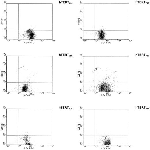 Fig. 3. Fluorescence-activated cell-sorting analysis of T-cell clones. The hTERT-reactive T-cell clones (Fig. 2)<$REFLINK> were double-stained with antihuman CD4-FITC and CD8-PE antibodies or isotype controls (mouse IgG-FITC and IgG-PE). The cells were then examined by flow cytometric analyses.