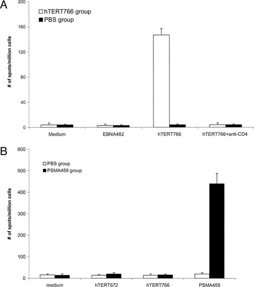 Fig. 7. A and B, peptide-specific Th response induced by immunization with hTERT766. HLA-DR4 transgenic mice (4 mice/group) were twice immunized with 100 μg of hTERT766 or an irrelevant DR4-binding peptide PSMA459 or PBS (100 μl) emulsified with CFA. Fourteen days later, after the second immunization, the splenocytes of each mouse group were pooled and tested for peptide hTERT766-induced IFN-γ production by ELISPOT. A, hTERT766-immunized transgenic mice. B, PSMA459-immunized transgenic mice. Data show the mean and SD of spots from triplicate wells from one experiment that is representative of two experiments performed. The frequency of peptide-specific T cells of hTERT766-immunized mice was significantly higher than that of PBS control group (P < 0.01).