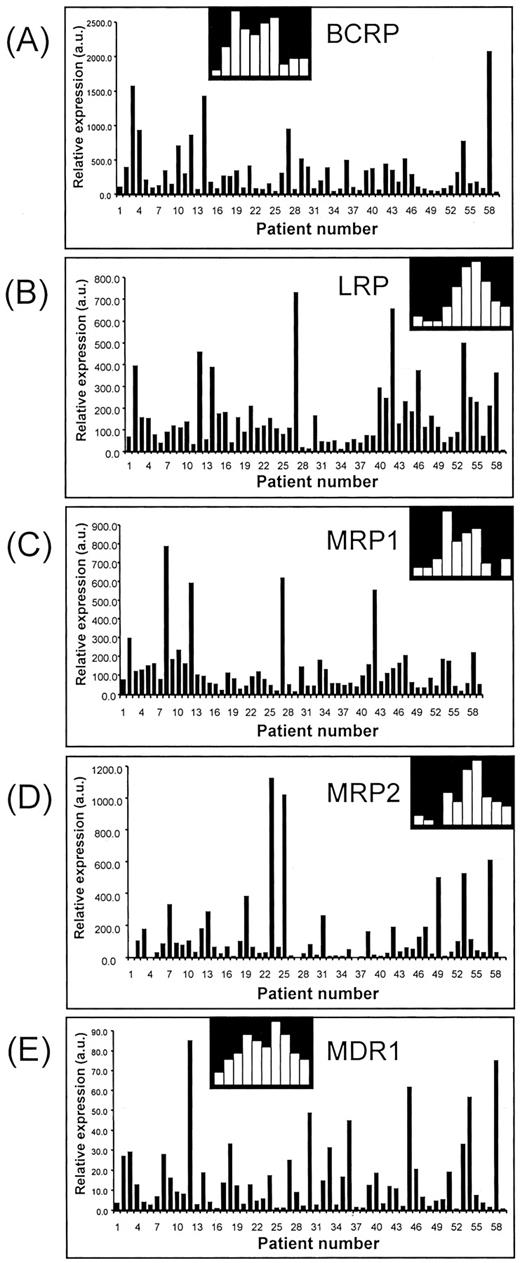 Fig. 1. Relative mRNA expression levels of BCRP (A), LRP (B), MRP1 (C), MRP2 (D), and MDR1 (E), as estimated by real-time RT-PCR and expressed in arbitrary units (a.u.), are shown for all individual primary breast tumor samples. Expression data were available for all 59 tumor samples, except for MRP2, where expression data of patients 1, 4, and 27 are missing. Insets show the log-normal distribution.