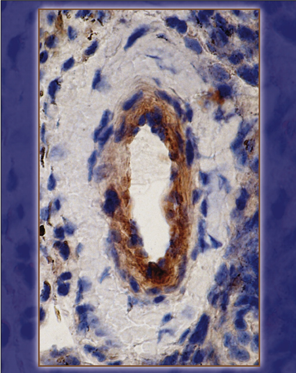 Issue cover image
