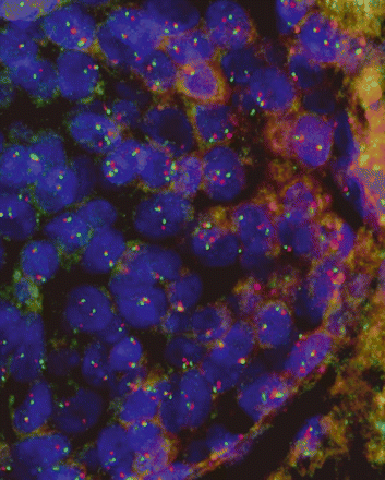 Issue cover image