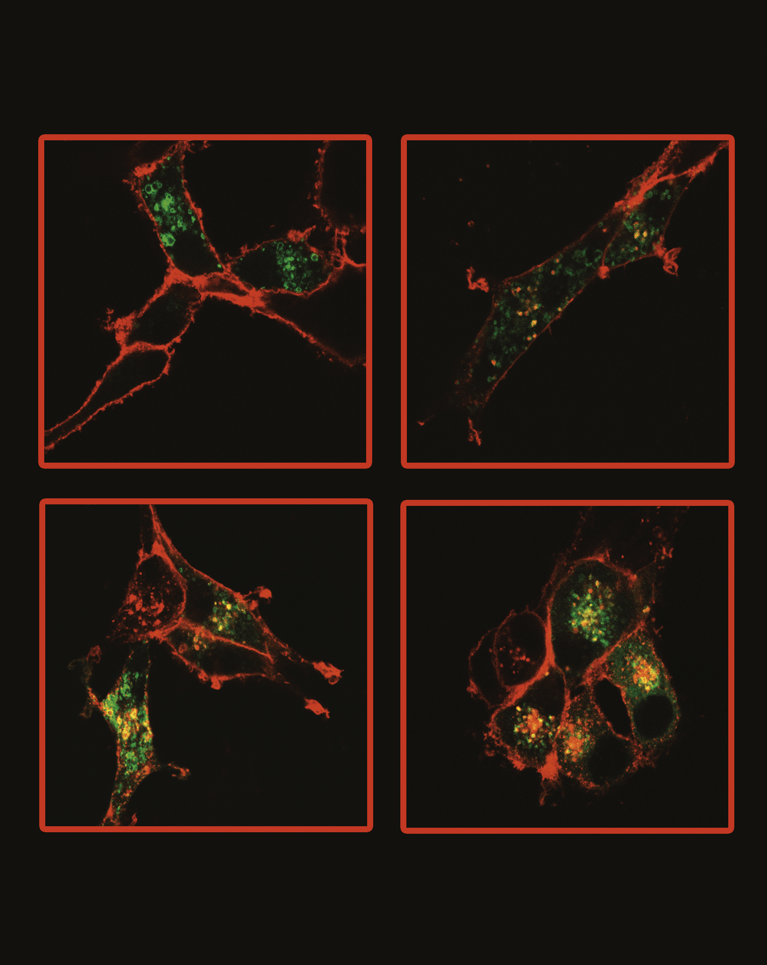 Issue cover image