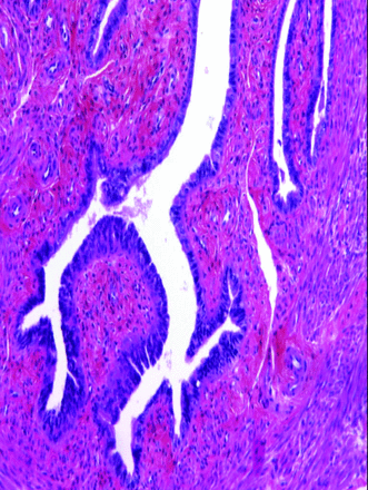 Issue cover image