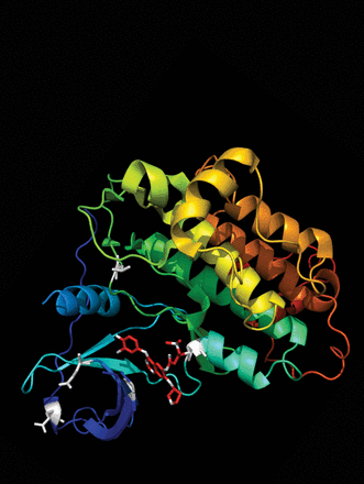 Issue cover image