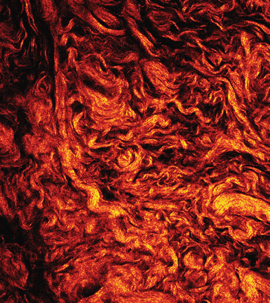 Issue cover image