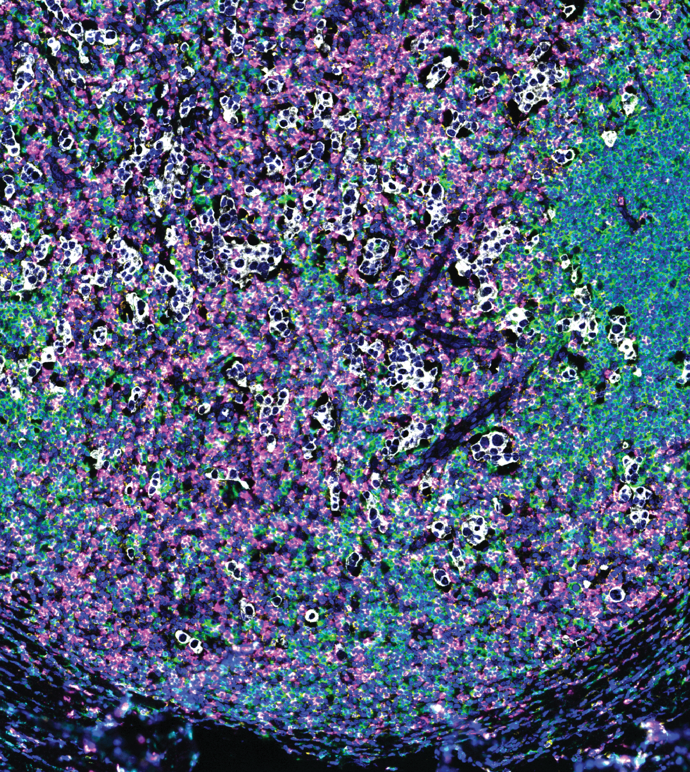 Issue cover image