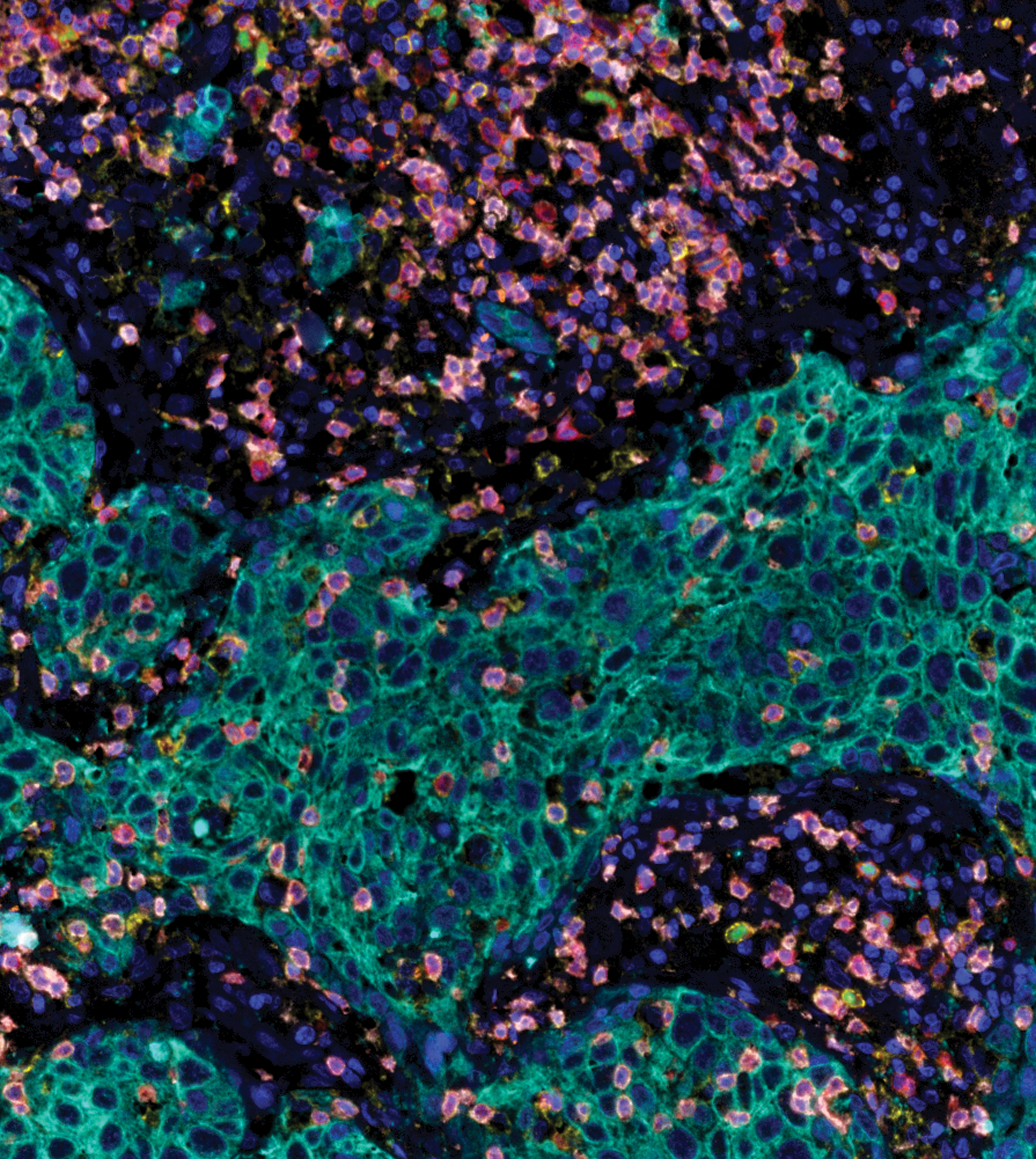 Issue cover image