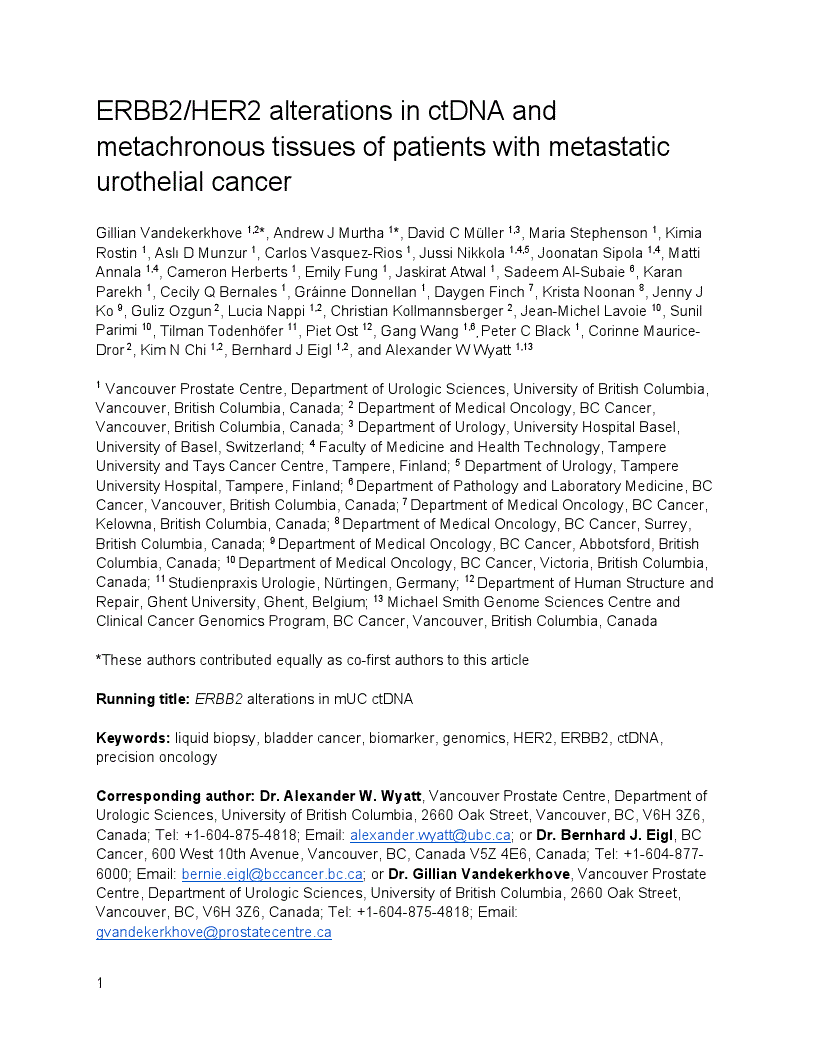 First page of ERBB2/HER2 alterations in ctDNA and metachronous tissues of patients with metastatic urothelial cancer<alt-title alt-title-type="left-running">ERBB2 alterations in mUC ctDNA</alt-title>