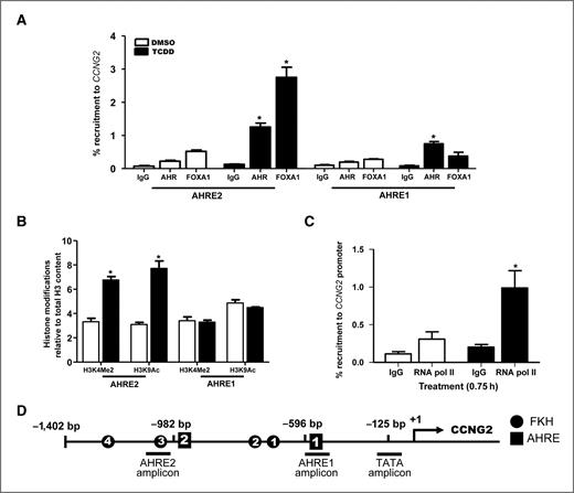 Figure 2. TCDD induces the recruitment of AHR and FOXA1 to CCNG2. A, quantification of AHR and FOXA1 recruitment to AHRE1 and AHRE2 using the ChIP assay. Briefly, T-47D cells were treated with 10 nmol/L TCDD for 45 minutes and immunoprecipitated using the antibodies indicated. The immunoprecipitated DNA was measured by qPCR with primers designed around each response element. B, determining the relative levels of the histone modifications H3K4Me2 and H3K9Ac following TCDD treatment at AHRE1 and AHRE2 using the ChIP assay. C, recruitment of RNA polymerase (pol) II to the TATA box in the proximal promoter region of CCNG2 after 45 minutes of treatment. D, diagram of CCNG2 regulatory region. Each error bar represents the SEM of 3 independent replicates. All data are relative to 100% total input. *, statistically significant differences compared with DMSO control samples using a one-way ANOVA (P < 0.05).