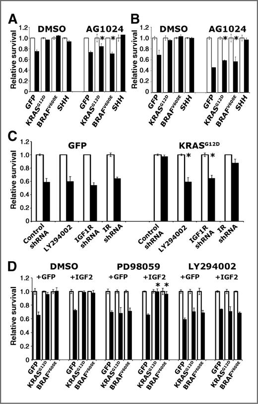 Figure 4. KRASG12D- and BRAFV600E-induced survival in PDECs requires IGF1R signaling. A, viability of Ink4a/Arf, Trp53 double null PDECs expressing KRASG12D, BRAFV600E, SHH, or GFP treated with DMSO or AG1024, plus 100 μmol/L cycloheximide. *, P < 0.01 compared with DMSO-treated cells of identical genotype. B, viability of Ink4a/Arf null PDECs expressing KRASG12D, BRAFV600E, SHH, or GFP treated with DMSO or AG1024 plus UV irradiation as measured by trypan blue exclusion. White bars untreated cells, black bars UV-treated cells. Values are normalized such that viability of untreated cells is 1. Results are representative of at least 2 experiments. *, P < 0.01 compared with DMSO-treated cells of identical genotype. C, impact of IGF1R- and IR-targeting shRNAs on the viability of KRASG12D- and GFP-expressing Ink4a/Arf, Trp53 double null PDECs treated with 100 μmol/L cycloheximide. *, P < 0.05 compared with cells treated with control shRNA. D, viability of Ink4a/Arf, Trp53 null PDECs expressing KRASG12D, BRAFV600E, or GFP, as well as ectopic IGF2 (or GFP as a control), following treatment with 100 μmol/L cycloheximide and the indicated inhibitors. White bars vehicle-treated cells, black bars cycloheximide-treated cells. Values are normalized such that viability of untreated cells is 1. Results are representative of at least 2 experiments. *, P < 0.05 compared with GFP expressing cells treated with PD98059. All error bars, SD; DMSO, dimethyl sulfoxide.
