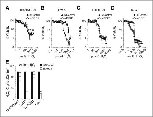 Figure 5. siORC1 specifically enhances sensitivity of tumor-derived cell lines to H2O2. A–E, 1BR3hTERT, BJhTERT, U20S or HeLa were transfected with siRNA as described in Figs. 1 and 4. 48 hours later, cells were treated with H2O2, with concentrations adjusted to account for substantial differences in sensitivity between cell lines. 24 hours later, H2O2 was removed and viability assessed 4 days later. A–D, representative viability plots. E, estimated IC50 values.