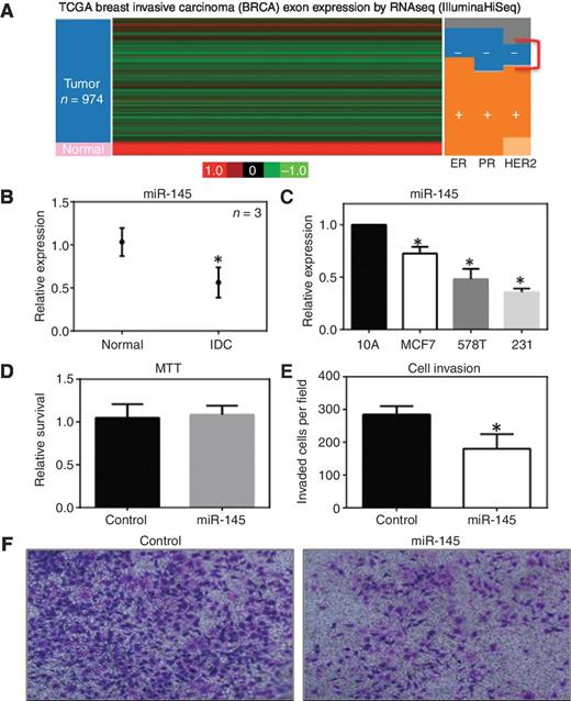 Figure 1. miR-145 is downregulated in TNBC cells in which miR-145 regulates breast tumor cell invasion. A, RNAseq data for miR145 in a breast tumor dataset from TCGA. B, expression profiling of miR-145 in normal and breast tumor tissues via qRT-PCR with normalization to U6 snRNA. C, miR-145 expression measured in nontumorigenic MCF-10A mammary epithelial cells and compared with MCF-7 (ER+), HS578T (TNBC), and MDA-MB-231 (TNBC) tumor cells. D, cell proliferation as measured by MTT assay for MDA-MB-231 cells transfected with control or miR145 expression plasmids. E and F, MDA-MB-231 cells overexpressing miR-145 were cultured in Transwell invasion assays; *, P < 0.05.