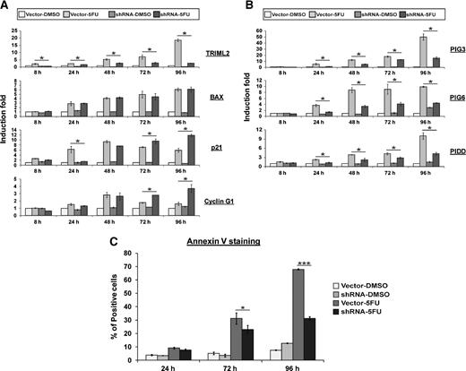 Figure 5. TRIML2 shows the most significant effects on late stages of apoptosis. A and B, qRT-PCR analysis of Hct116 cells stably infected with vector control or TRIML2 sh-A following treatment with DMSO or 5-FU (5 μmol/L) for 8, 24, 48, 72, or 96 hours. The level of each gene in vector-infected, DMSO-treated cells at the 0 time point was set to 1. The data depicted are the averaged results from three independent experiments, normalized to control (cyclophilin A); error bars, SE; *, P < 0.05. B, genes negatively regulated by TRIML2 silencing are presented. C, flow cytometric analysis of Annexin V–positive cells in Hct116 cells stably infected with vector or sh-A of TRIML2, following 24, 72, or 96 hours (36) of treatment with 5-FU (5 μmol/L). The percentage of Annexin V–positive cells are depicted; the data depicted are the averaged results from four independent experiments; error bars, SE; *, P < 0.05 and ***, P < 0.0005.