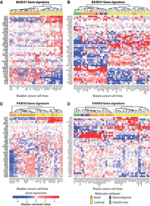 Figure 1. Breast and bladder cancer cell lines cluster into basal and luminal subtypes. Breast (6) or bladder (35) cancer gene expression data were log-transformed, median centered, then hierarchically clustered using Euclidean distance according to the genes present in the patient-derived (A and B) BASE47 bladder cancer signature or the (C and D) PAM50 breast cancer signature.
