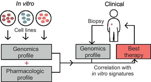 Figure 2. Process of using in vitro genomics for clinical treatment selection. Multiple prediction algorithms have been utilized to derive molecular features predictive of pharmacologic response of cells in vitro. After a tumor is biopsied and its genomic features are profiled, in vitro derived predictive signatures may be used to determine the best therapy for the individual's tumor.