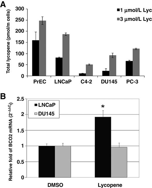 Figure 3. Lycopene is differentially accumulated in prostatic epithelial cells and upregulates bco2 gene expression in specific prostate cancer cells. A, normal PrEC and prostate cancer cell lines were treated either with 1 or 3 μmol/L lycopene for 24 hours. Cellular lycopene was extracted and analyzed by HPLC in individual cell lines as described in “Materials and Methods.” Lycopene concentrations in PrEC and prostate cancer cell lines are presented as pmol per million (m) cells. B, prostate cancer cell lines (LNCaP and DU145) were treated with 1 μmol/L lycopene or vehicle (DMSO) for 24 hours. Total RNA was isolated and real-time RT-PCR was performed as described in “Materials and Methods.” Relative fold expression is presented as 2−ΔΔCt compared with DMSO control. Data, mean ± SD (n = 3). *, P < 0.05, lycopene concentration versus control.