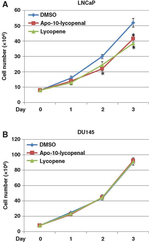 Figure 4. Lycopene and a lycopene metabolite inhibit cell growth in specific prostate cancer cells. In these representative experiments, LNCaP cells (8 × 104) were seeded onto 6-well plates, then treated with 1 μmol/L lycopene or apo-10-lycopenal, or vehicle (DMSO) for up to 3 days. Every 24 hours, duplicate samples were trypsinized and counted. Trypan blue exclusion showed no differences in cell death among different conditions (data not shown). Data, mean ± SD (n = 3). *, P < 0.05, lycopene concentration versus control, or apo-10-lycopenal versus control. A, LNCaP cells. B, DU145 cells.