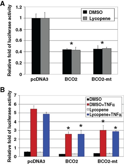 Figure 6. Exogenous BCO2 expression inhibits NF-κB transcriptional activity in prostate cancer cells. A, DU145 cells were transiently transfected with a NF-κB luciferase reporter, β-gal (transfection efficiency control), and the indicated expression constructs for 24 hours followed by treatment with either 1 μmol/L lycopene or vehicle for 24 hours; cells were lysed and luciferase assays performed. Data represent mean ± SD (n = 3) normalized to β-gal activity (*, P < 0.05, BCO2, or BCO2-mt expression vs. control). B, C4-2 cells were transiently transfected with the NF-κB-luc reporter gene, β-gal, and the indicated constructs for 24 hours, and then treated with 1 μmol/L lycopene or DMSO for 20 hours. After stimulation with TNFα (10 ng/mL) for 3 hours, cells were assayed for luciferase activity. Data represent mean ± SD (n = 3) normalized to β-gal (*, P < 0.05, BCO2 or BCO2-mt expression vs. control).