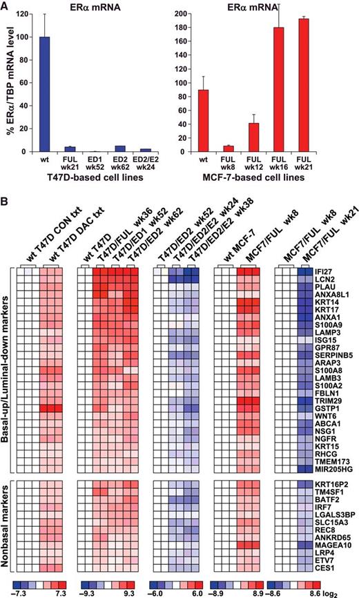 Figure 1. Candidate ERα targets for DNA methylation and ERα mRNA levels in the cell lines used to identify the targets. A, ERα mRNA levels in matched wild-type (wt) fulvestrant (FUL)-resistant, ED-resistant, and ED-resistant reexposed to E2 (ED/E2) cell line models at the indicated weeks (wk) of derivation. The selection process schema is shown in Supplementary Fig. S1. ERα mRNA levels normalized to TBP mRNA were measured by qRT-PCR. B, The 39 candidate ERα DNA methylation targets. Cell lines were transcriptionally profiled using Agilent Human Gene Expression 4 × 44 K v2 microarrays. Shown is the intersection of DAC-regulated genes and genes whose expression consistently showed an inverse relationship to ERα expression/activity across all wild-type and antihormone-resistant cell lines. Genes are ranked by their average fold increase in expression in T47D/FUL, T47D/ED1, and T47D/ED2 versus wild-type T47D cells. Note, profiles of T47D/ED2/E2 week 38 and not week 24 cells were compared against T47D/ED2 cells for significantly differentially expressed genes. Basal-up/luminal-down genes were established according to references in Supplementary Excel File S10.