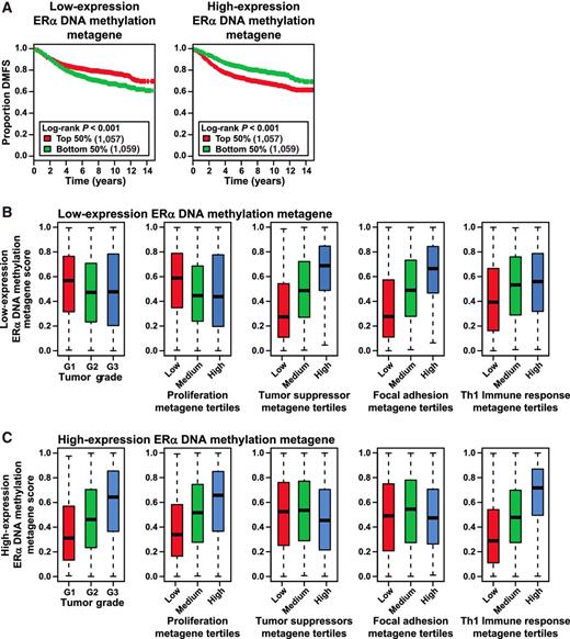 Figure 3. Evaluation of the low- and high-expression ERα DNA methylation target metagenes in the combined breast cancer cohort. A, Kaplan–Meier survival curves of the low- and high-expression ERα DNA methylation metagenes. Genes were parsed into the low versus high metagene according to how each gene's expression level tended to associate with poor DMFS. In the survival curves, patients were grouped on the basis of metagene scores split at the 50th percentile. The log-rank test P value and the number of patients in each group are shown in the legends. B and C, Low-expression (B) and high-expression (C) ERα DNA methylation metagene scores plotted against tumor grade as well as proliferation, tumor suppressor, focal adhesion, and Th1 immune response metagene tertiles in the breast cancer cohort.
