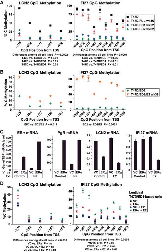 Figure 5. LCN2 and IFI27 CpG methylation levels are directly related to ERα expression/activity. A, Decreased LCN2 and IFI27 CpG methylation in ERα-low/negative cell lines compared with wild-type T47D cells. B, Increased LCN2 and IFI27 CpG methylation in E2 reexposed T47D/ED2/E2 compared with T47D/ED2 cells. C, ERα, PgR, LCN2, and IFI27 mRNA expression in lentiviral VC and ERα-infected cells. ERα and the ERα-responsive gene PgR were substantially upregulated, whereas LCN2 and IFI27 were downregulated in cells expressing lentiviral ERα and maintained in E2. RNA levels normalized to TBP were measured by qRT-PCR. D, Increased CpG methylation levels of LCN2 and IFI27 in lentiviral ERα compared with VC cells. A and C, Significance was assessed by repeated measures one-way ANOVA, followed by Dunnett multiple comparison tests for subgroup analysis. B, Significance was assessed by one-tailed paired t tests. Genomic DNA was bisulfite treated and methylation was quantitated by pyrosequencing. TSS, transcriptional start site.