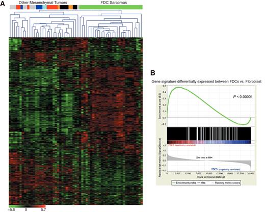 Figure 2. Differentially expressed gene signature (1,289 genes) between microdissected FDCs and fibroblast samples was applied to FDC sarcomas and other mesenchymal tumors by (A) hierarchical clustering algorithm that demonstrated a distinct cluster of FDC sarcomas from other mesenchymal tumors. In the matrix, each row represents a gene and each column represents a sample. The color scale illustrates the relative expression level of a gene across all samples: red represents an expression level above the mean and green represents expression lower than the mean. B, GSEA revealed significant enrichment of genes up- or downregulated in microdissected FDCs respect to fibroblast in FDC sarcoma. The enrichment score curve was obtained from GSEA software. In the enrichment plot, the x-axis shows the rank order of genes from the most upregulated to the most downregulated between microdissected FDC and fibroblast samples. Vertical black line indicates the position of the enriched genes (Hit) comprising the gene set. The graph on the bottom shows the ranked list metric (signal-to-noise ratio) for each gene as a function of the rank in the ordered dataset.