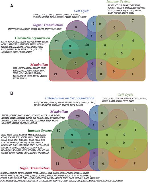 Figure 3. Venn diagrams of the 5 most represented pathways to define unique genes in the 2 different signatures. A, Eighty-five genes contributing to each pathway modulated in FDC sarcomas versus microdissected FDCs. B, A total of 156 genes contributing to each pathway modulated in FDC sarcomas versus other mesenchymal tumors.