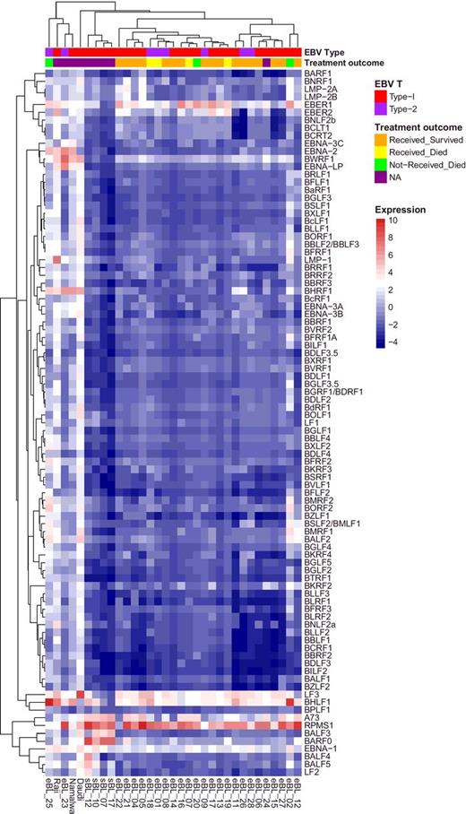 Figure 1. Expression heat map for all known EBV genes for 26 eBL, 4 sBL, and 3 long-term BL cultures (Daudi, Raji, Namalwa) that were found to be EBV positive. This correlation-based clustering heat map using log2-transformed FPKM values demonstrates a predominant expression pattern resembling latency I for most of the BLs while two eBLs (eBL_23 and eBL_25) and cell lines have elevated expression in other genes. eBL_02 and eBL_20 show intermediate level lytic genes such as BMRF1, BALF2, and BSLF2/BMLF1 in addition to the two eBLs that cluster with cell lines.