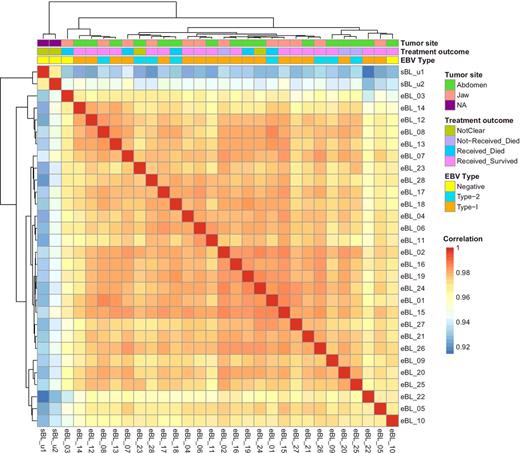 Figure 2. Sample-to-sample clustering of BL tumors based on expression profiles of top 10,000 genes with highest correlation of variation (CV) values (calculated using regularized log-transformed expression data). While 2 sBLs (sBL_u1 and sBL_u2) separate out from 28 eBLs, eBL tumor expression profiles demonstrate greater correlation within eBLs (r > 0.95, Pearson correlation; dark red is 1.0) compared with sBLs, which might be due to differences in biopsy and preservation methods or biology. Overall gene expression correlations between eBLs does not reveal significant clustering consistent with no major underlying molecular subtypes nor clustering correlating with tumor presentation site, treatment outcome, or EBV type.