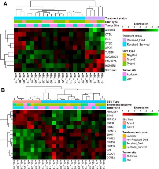 Figure 3. Clustering heat map of significantly differentially expressed human genes between factors of phenotypes. Sample-wise scaled log2 expression values range between lowest as light green and highest as dark red. Clustering dendrogram based on Pearson correlation demonstrates tumor grouping proper to the phenotype of interest. A, Significantly differentially expressed genes between survivors and nonsurvivors (BH Padj < 0.1). B, Significantly differentially expressed human genes between eBL tumors carrying EBV type 1 and eBL tumor with EBV type 2 (BH Padj < 0.1).