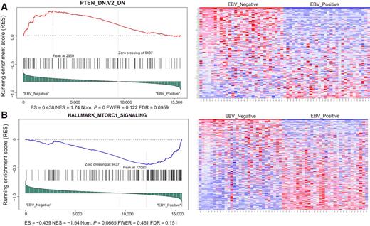 Figure 4. Gene set enrichment plot and expression heat map of corresponding genes in the enriched gene set. Left panels include the running enrichment score throughout the gene set and projection of genes in the gene set to the complete list of genes rank ordered based on signal-to-noise ratio. Leading-edge genes that build up the enrichment score of the gene set (RES at the peak) are the most important genes for these tumor sample comparison. On the expression heat map (columns are tumors, rows are genes in the gene set), dark red represents higher expression while dark blue lower expression. A, Genes in this enrichment have been shown to be downregulated upon PTEN knockdown and are observed to be downregulated in EBV-positive BLs relative to EBV-negative BLs (ES = 0.438, nominal P = 0.00, FDR q = 0.0959) and B, Hallmark gene set enrichment showing mTOR complex 1 signaling genes to be relatively more activated in EBV-positive BLs compared with -negative BLs (ES = −0.439, nominal P = 0.0665, FDR q = 0.151). Enrichment of genes associated with mTOR activation supports the enrichment of genes linked to PTEN inhibition.