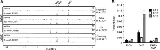 Figure 4. The membrane transport protein SLC35F2 is regulated by AR activation. A, ChIP-seq histograms of AR binding to the SLC35F2 locus from published datasets. Black arrows, peaks selected for validation. B, ChIP-qPCR of peaks “AR1-3” in LNCaPs cultured in CSS with DHT, enzalutamide (ENZ), or ethanol vehicle control (EtOH).